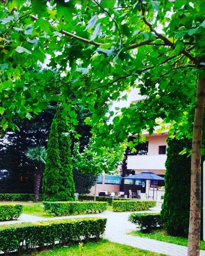 Ambasador Garden